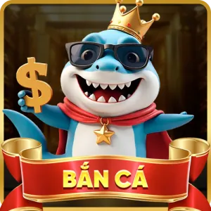 Cài đặt và cấp quyền Banca29 App Android