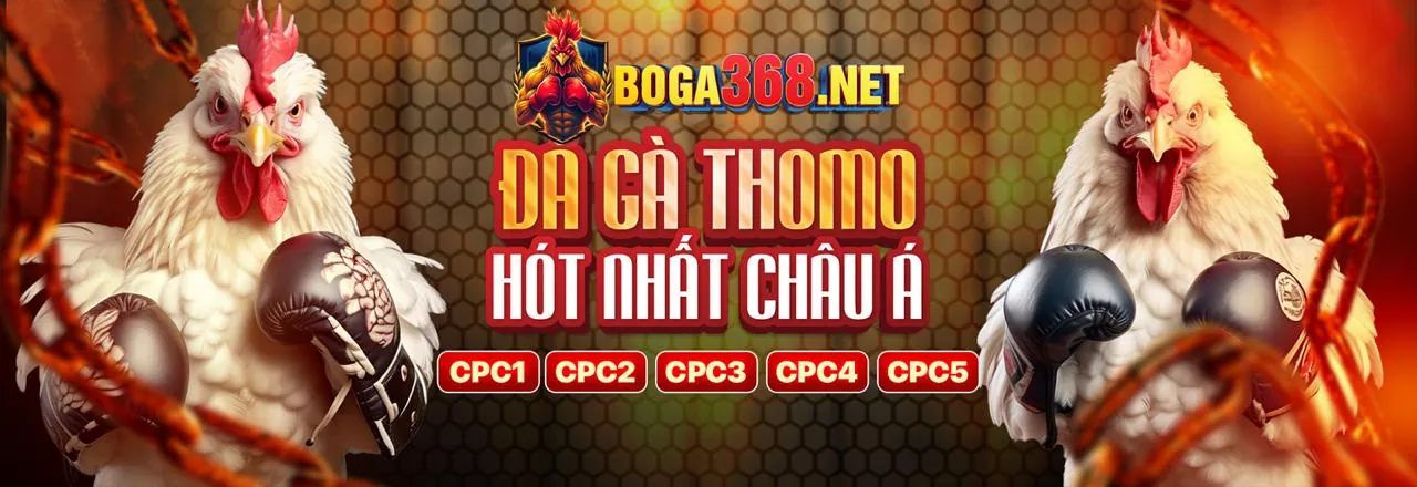 Đá Gà Trực Tuyến Hấp Dẫn trên banca29 app android