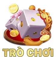 Trực tiếp chất lượng cao